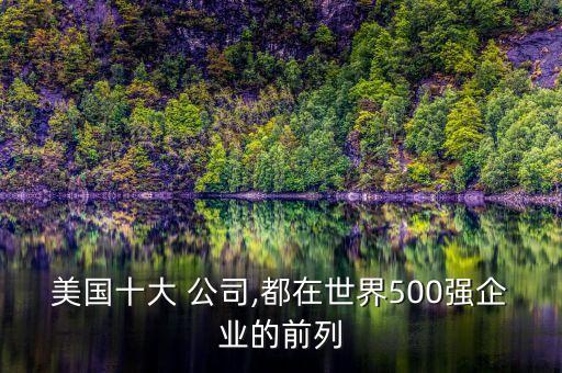 美國十大 公司,都在世界500強企業(yè)的前列