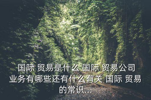  國際 貿易是什么 國際 貿易公司業(yè)務有哪些還有什么有關 國際 貿易的常識...