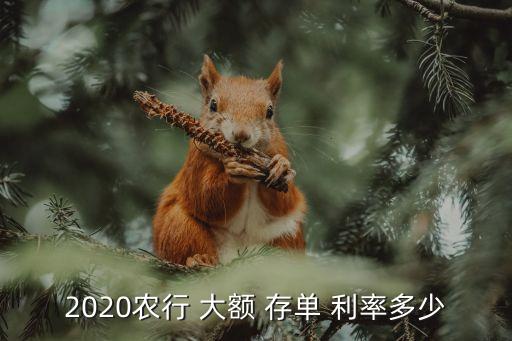 2020農(nóng)行 大額 存單 利率多少