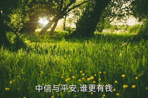 中信銀行總資產(chǎn)