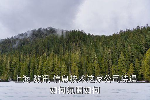 上海數(shù)訊信息技術(shù)有限公,海南數(shù)訊信息技術(shù)有限公司怎么樣