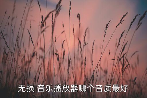 無損 音樂播放器哪個音質(zhì)最好