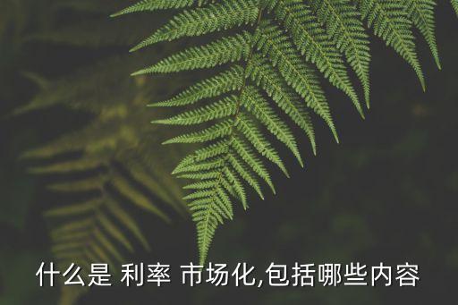 什么是 利率 市場化,包括哪些內(nèi)容