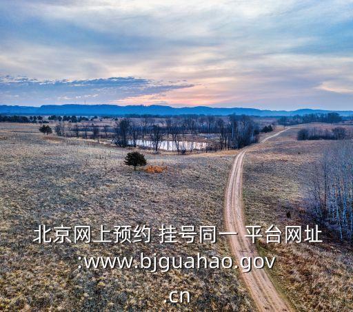  北京網(wǎng)上預(yù)約 掛號同一 平臺網(wǎng)址:www.bjguahao.gov.cn