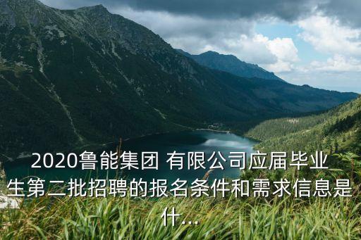 2020魯能集團(tuán) 有限公司應(yīng)屆畢業(yè)生第二批招聘的報(bào)名條件和需求信息是什...