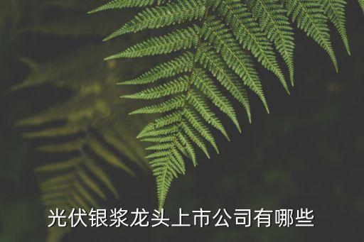 光伏銀漿龍頭上市公司有哪些