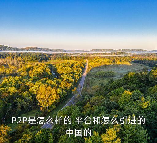 P2P是怎么樣的 平臺(tái)和怎么引進(jìn)的中國(guó)的