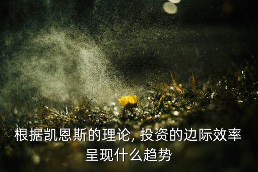 根據凱恩斯的理論, 投資的邊際效率呈現(xiàn)什么趨勢