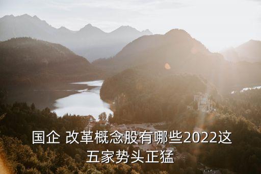  國企 改革概念股有哪些2022這五家勢頭正猛