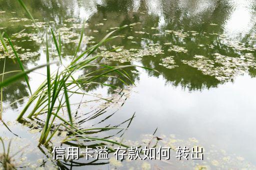 浦發(fā)銀行溢存款轉(zhuǎn)出