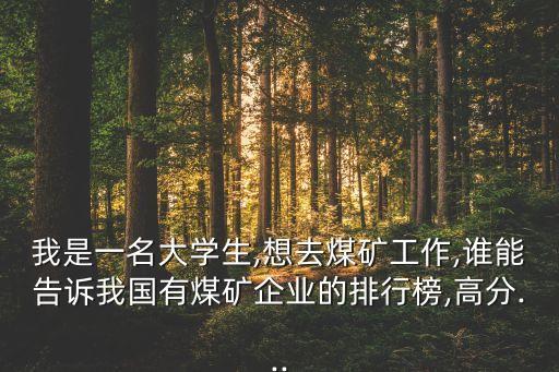 陽(yáng)煤揚(yáng)德煤層氣發(fā)電有限公司,揚(yáng)德煤層氣發(fā)電怎么樣