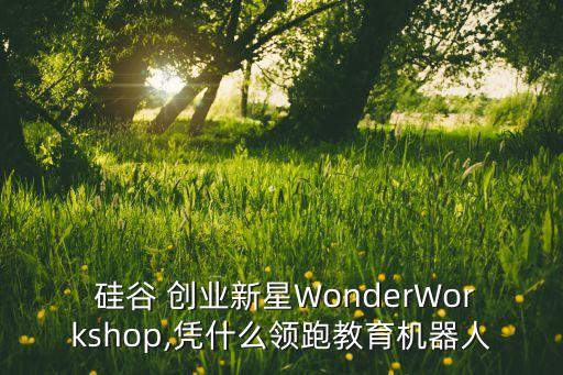  硅谷 創(chuàng)業(yè)新星WonderWorkshop,憑什么領(lǐng)跑教育機(jī)器人