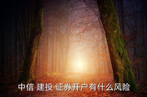 中信建投證券有限責(zé)任公司