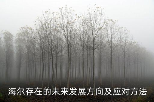  海爾存在的未來發(fā)展方向及應(yīng)對(duì)方法