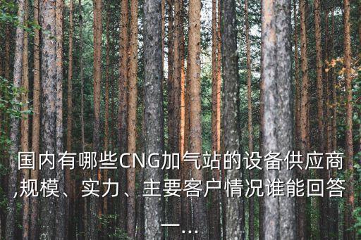 國內有哪些CNG加氣站的設備供應商,規(guī)模、實力、主要客戶情況誰能回答一...