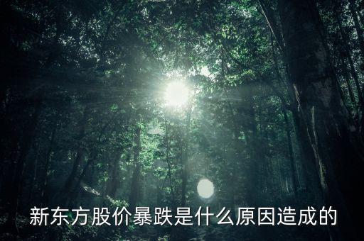  新東方股價暴跌是什么原因造成的