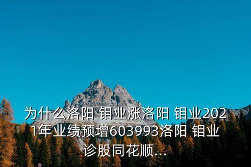 為什么洛陽 鉬業(yè)漲洛陽 鉬業(yè)2021年業(yè)績(jī)預(yù)增603993洛陽 鉬業(yè)診股同花順...