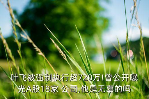 葉飛被強(qiáng)制執(zhí)行超720萬(wàn)!曾公開曝光A股18家 公司,他是無(wú)辜的嗎