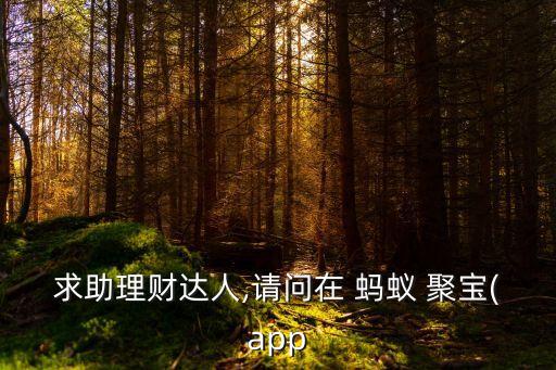 求助理財達人,請問在 螞蟻 聚寶(app