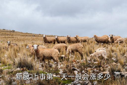 剛上市的股票價格,中石油剛上市股票價格