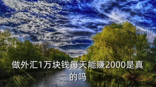 做外匯1萬(wàn)塊錢每天能賺2000是真的嗎