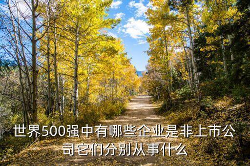 世界500強(qiáng)中有哪些企業(yè)是非上市公司它們分別從事什么