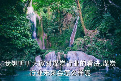 我想聽(tīng)聽(tīng)大家對(duì)煤炭行業(yè)的看法,煤炭行業(yè)未來(lái)會(huì)怎么樣呢