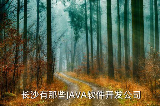  長沙有那些JAVA軟件開發(fā)公司