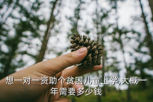 想一對一資助個貧困兒童上學,大概一年需要多少錢