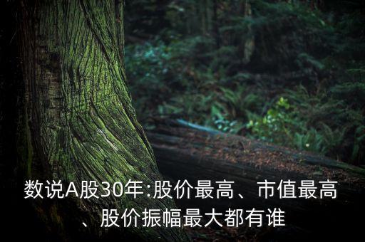 中國漲幅最多股票,2022年漲幅最多的股票