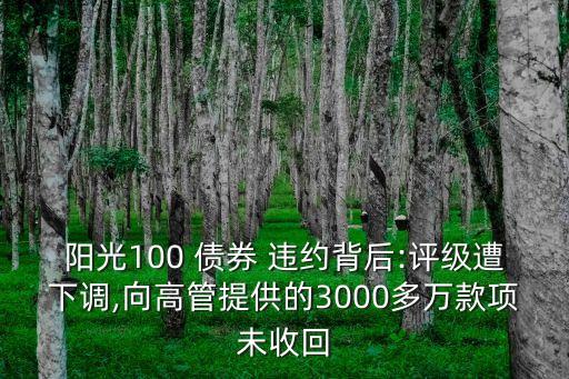 陽光100 債券 違約背后:評級遭下調(diào),向高管提供的3000多萬款項未收回