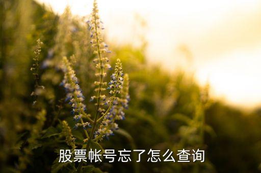  股票帳號忘了怎么查詢