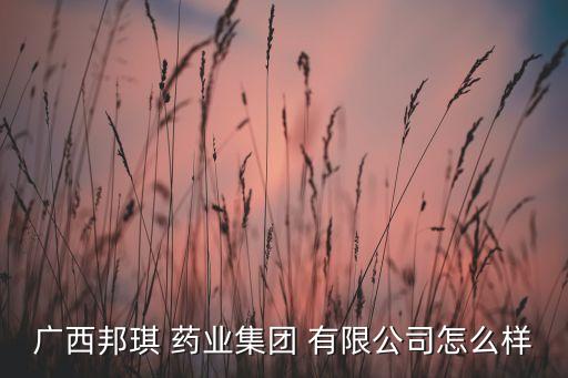 廣西邦琪 藥業(yè)集團(tuán) 有限公司怎么樣