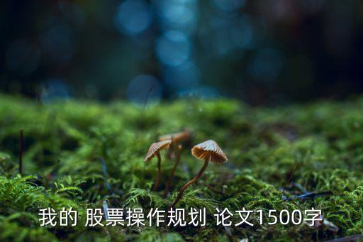 我的 股票操作規(guī)劃 論文1500字