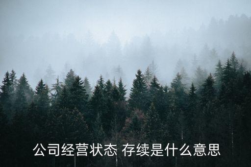  公司經(jīng)營(yíng)狀態(tài) 存續(xù)是什么意思