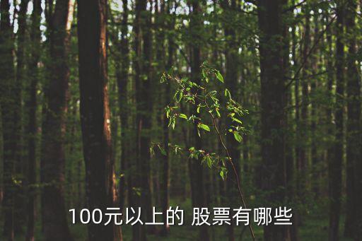 100元以上的 股票有哪些