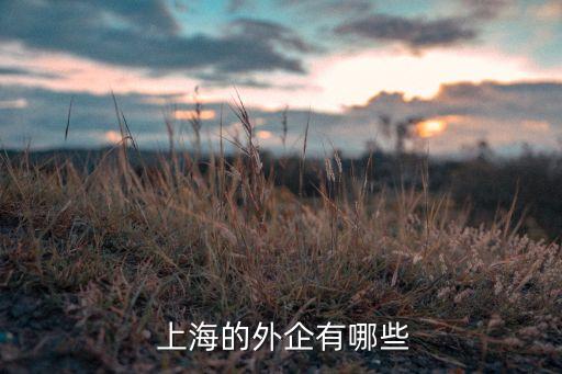 上海索廣映像株式會社,索廣映像上海有幾個(gè)地址