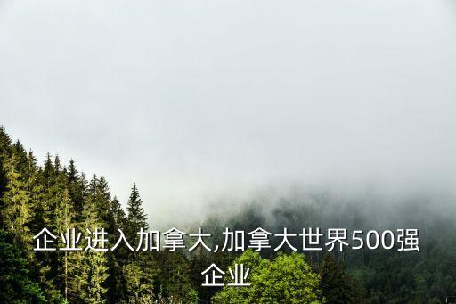 中國企業(yè)進入加拿大,加拿大世界500強企業(yè)