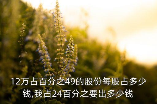 12萬占百分之49的股份每股占多少錢,我占24百分之要出多少錢