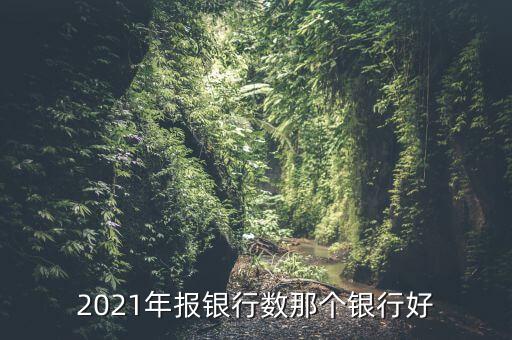 2021年報(bào)銀行數(shù)那個(gè)銀行好