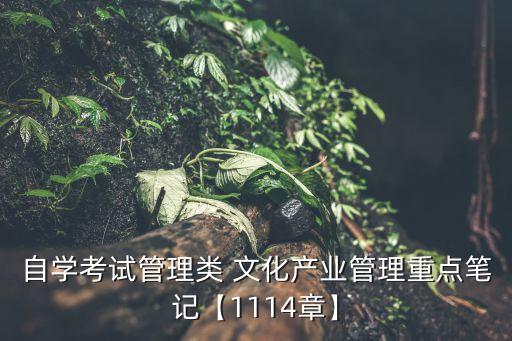 自學考試管理類 文化產(chǎn)業(yè)管理重點筆記【1114章】