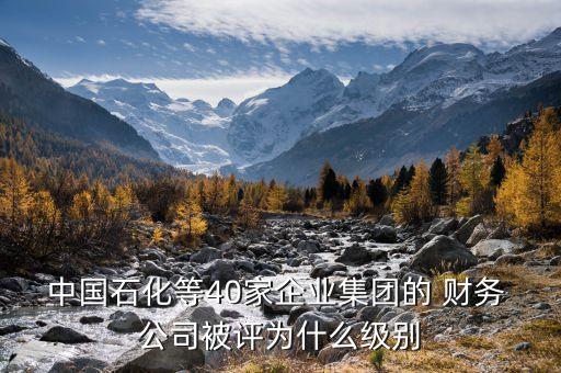 中國石化等40家企業(yè)集團(tuán)的 財(cái)務(wù) 公司被評(píng)為什么級(jí)別