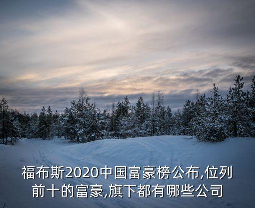 福布斯2020中國(guó)富豪榜公布,位列前十的富豪,旗下都有哪些公司