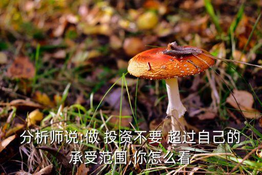 分析師說(shuō):做 投資不要 超過(guò)自己的承受范圍,你怎么看