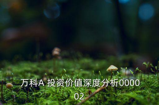  萬科A 投資價值深度分析000002