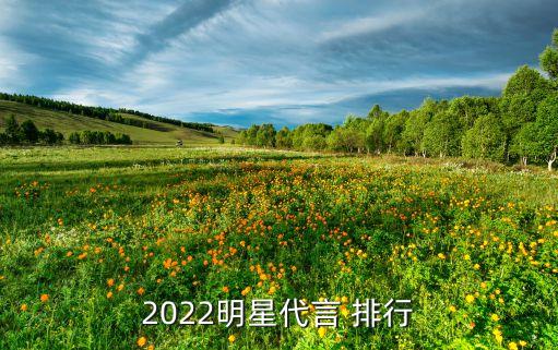 2022明星代言 排行