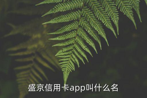 盛京信用卡app叫什么名