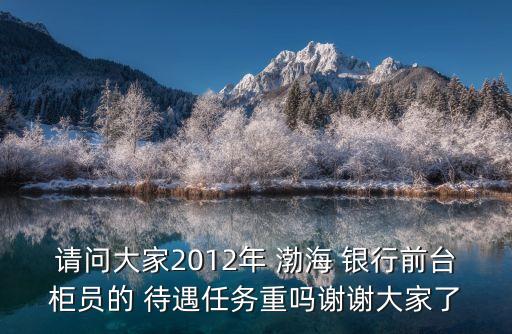 請問大家2012年 渤海 銀行前臺柜員的 待遇任務重嗎謝謝大家了