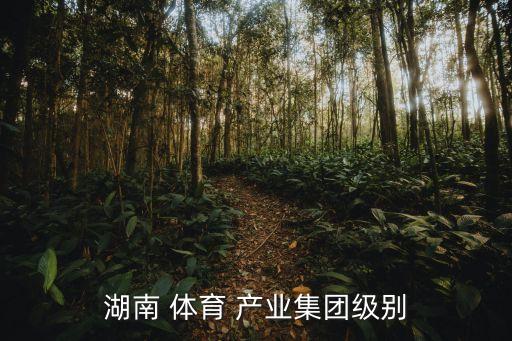 體育產(chǎn)業(yè)公司,河南文旅投資集團(tuán)體育產(chǎn)業(yè)公司