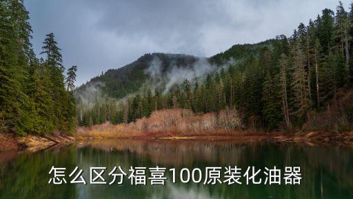 怎么區(qū)分福喜100原裝化油器